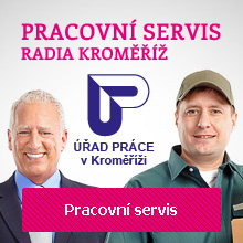 Pracovní servis